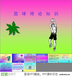 最新籃球基礎(chǔ)知識ppt課件