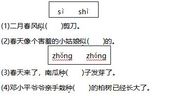 基礎(chǔ)知識,閱讀