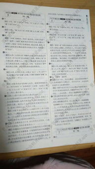 基礎(chǔ)知識,語文,答案