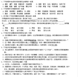 高考語(yǔ)文基礎(chǔ)知識(shí)訓(xùn)練營(yíng)