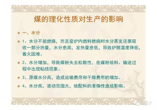 煤質(zhì),幻燈片,基礎(chǔ)知識(shí)