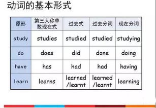 英語(yǔ)四級(jí)語(yǔ)法基礎(chǔ)知識(shí)大全,初中語(yǔ)文語(yǔ)法基礎(chǔ)知識(shí)大全,語(yǔ)文語(yǔ)法基礎(chǔ)知識(shí)大全