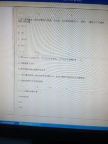 基礎(chǔ)知識(shí),小學(xué)生,計(jì)算機(jī)考試