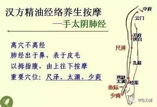 中醫(yī)的最基礎(chǔ)知識(shí)是