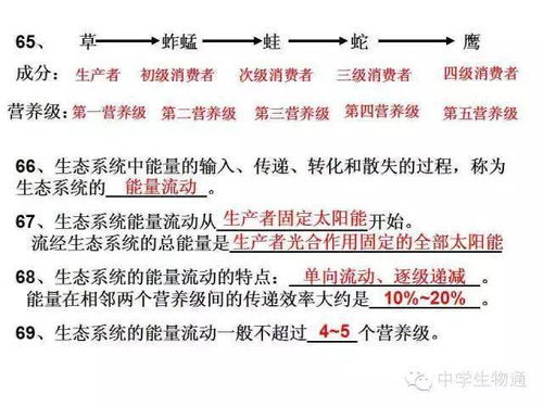 高中生物必修基礎(chǔ)知識(shí)檢查清單6