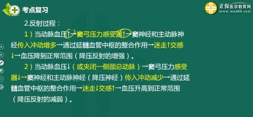 心腦血管基礎(chǔ)知識(shí)問答