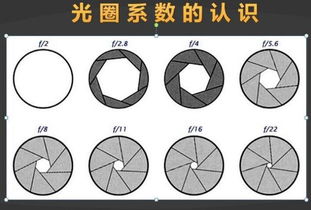光圈的基礎(chǔ)知識