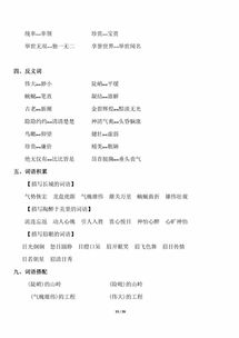 四級,人教版,基礎(chǔ)知識