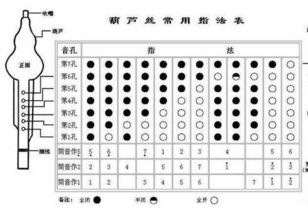 葫蘆絲樂理基礎知識符號