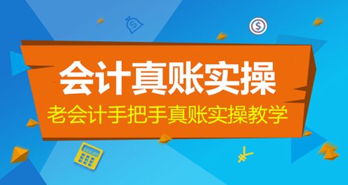 計算機基礎(chǔ)知識培訓(xùn)心得體會,計算機基礎(chǔ)知識培訓(xùn)方案,計算機基礎(chǔ)知識培訓(xùn)心得