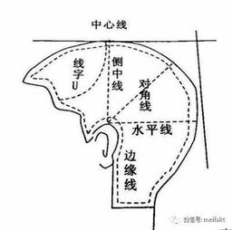 點線面美發(fā)基礎(chǔ)知識