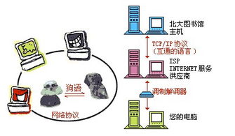 網(wǎng)絡基礎知識需要掌握什么協(xié)議