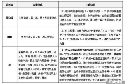 體育教師基礎(chǔ)基本知識