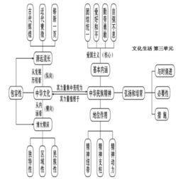 高中政治基礎(chǔ)知識(shí)匯總,高中政治基礎(chǔ)知識(shí)填空,怎樣夯實(shí)語文基礎(chǔ)知識(shí)