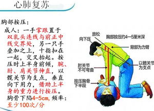 院前急救基礎(chǔ)知識(shí)