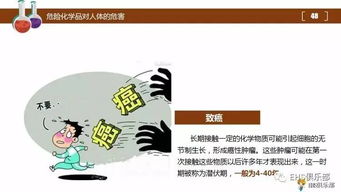醫(yī)院?；坊A(chǔ)知識培訓(xùn)ppt