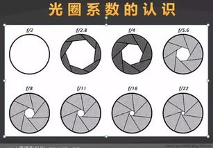 單反攝影入門基礎(chǔ)知識,單反使用基礎(chǔ)知識,單反入門基礎(chǔ)知識
