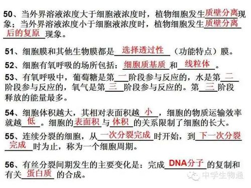 基礎(chǔ)知識,制程,試題,檢驗