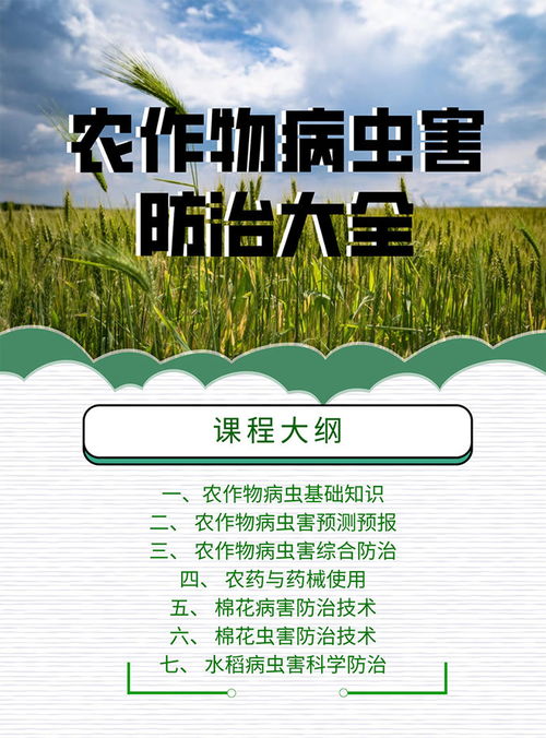 農(nóng)作物害蟲基礎(chǔ)知識