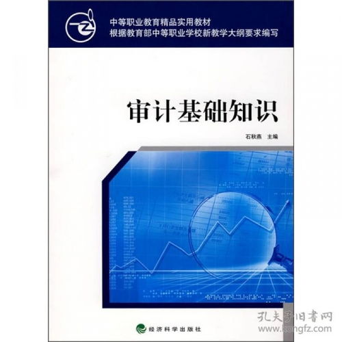 審計(jì)基礎(chǔ)知識單選