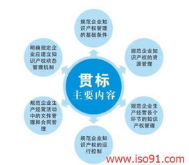 企業(yè)產(chǎn)權(quán)管理基礎(chǔ)知識