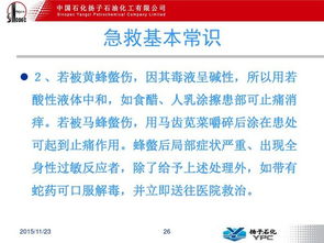 臨床急救基礎(chǔ)知識