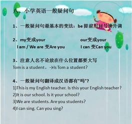 英語,基礎(chǔ),教學(xué),知識(shí)