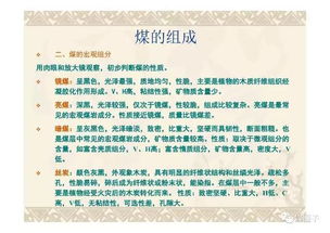 往復(fù)式壓縮機(jī)的基礎(chǔ)知識(shí)幻燈片,煤質(zhì)化驗(yàn)基礎(chǔ)知識(shí),煤質(zhì)化驗(yàn)員的基礎(chǔ)知識(shí)