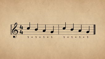 音樂基礎(chǔ)知識(shí)與節(jié)奏訓(xùn)練,音樂基礎(chǔ)知識(shí)與聽音節(jié)奏訓(xùn)練答案,樂理基礎(chǔ)知識(shí)節(jié)奏