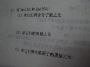 化學高一摩爾質量基礎知識考察