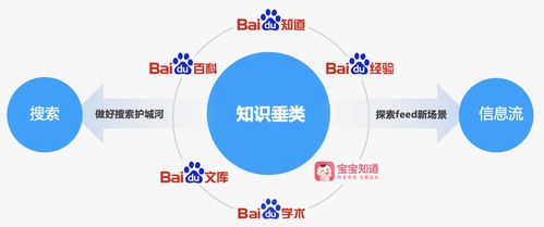 少先隊(duì),專(zhuān)業(yè)知識(shí),基礎(chǔ)