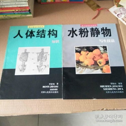 美術(shù)基礎知識書