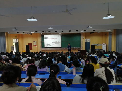 有關(guān)甲骨文的基礎(chǔ)知識講座