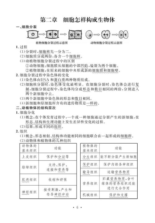 生物基礎(chǔ)知識(shí)點(diǎn)初中