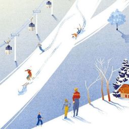 滑雪運動基礎知識