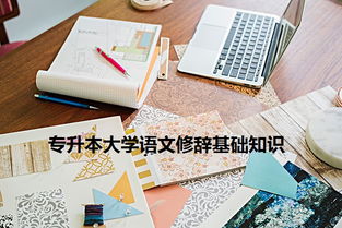 廣西,專升本,基礎(chǔ)知識,語文