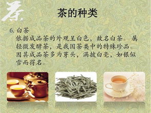 中國茶的基礎(chǔ)知識(shí)