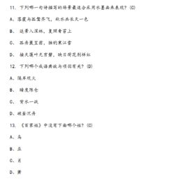 基礎(chǔ)知識(shí),語文,提升,教學(xué)
