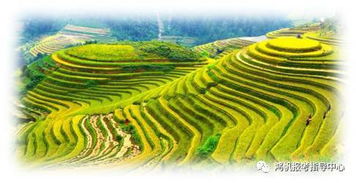 農(nóng)林經(jīng)濟管理基礎知識