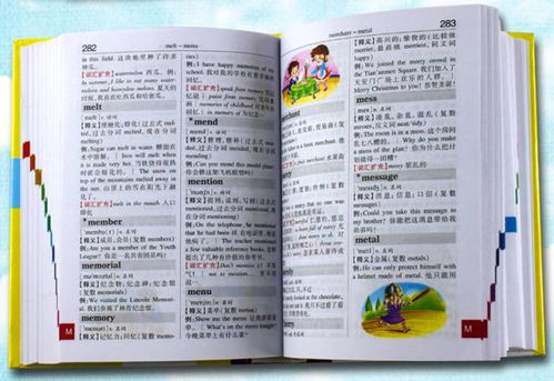 小學(xué)語數(shù)英基礎(chǔ)知識(shí)