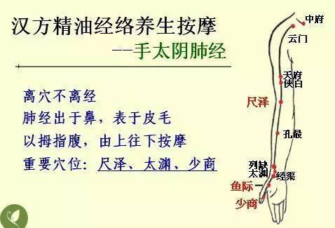中醫(yī)基礎(chǔ)知識風(fēng)