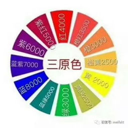 燙染的基礎(chǔ)理論知識