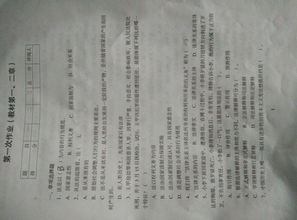 法學(xué)基礎(chǔ)知識形成性考核一答案,法學(xué)基礎(chǔ)知識形成性考核一答案浙江電大,國開法學(xué)基礎(chǔ)知識形成性考核一答案