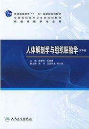 人體解剖學(xué)與組織胚胎學(xué)基礎(chǔ)知識點