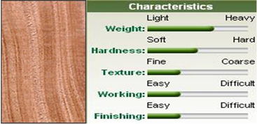 攝影入門基礎(chǔ)知識(shí)a門