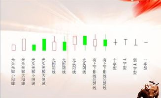證券投資股票基礎知識