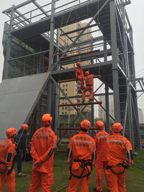 電力應(yīng)急演練基礎(chǔ)知識