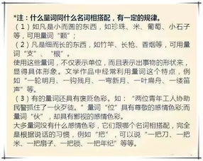 人教版小升初語文基礎(chǔ)知識匯總