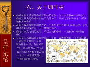 基礎(chǔ)知識,入門,咖啡