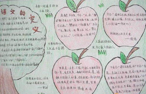 高中語(yǔ)文基礎(chǔ)知識(shí)手抄報(bào)